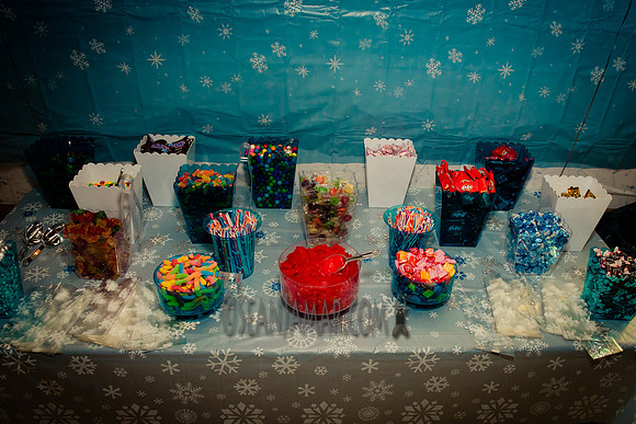 Olivias Sweet 16th Birthday Party - Wanaque First Aid Squad - Wanaque NJ - 2015