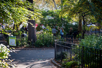 CPF Partnership For Parks - North Brooklyn Parks Alliance Garden