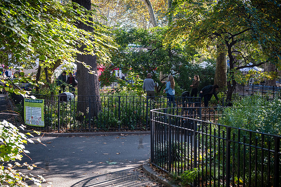 CPF Partnership For Parks - North Brooklyn Parks Alliance Garden