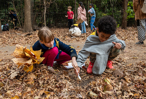 CPF Learn - Seeds To Trees - Prospect Park - NYC - 2024