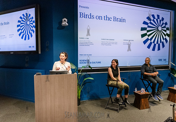 Simons Foundation Presents - Birds on the Brain - Simons Foundat