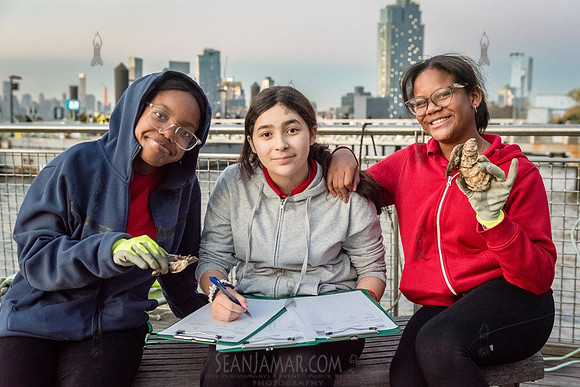 Community Programming, Dedications & Activations
