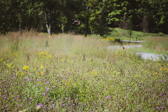 Storm King Art Center - 2026