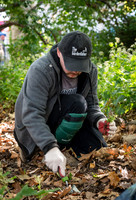 CPF Partnership For Parks - North Brooklyn Parks Alliance Garden