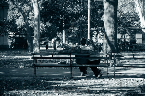 CPF Partnership For Parks - North Brooklyn Parks Alliance Garden