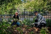 CPF Partnership For Parks - North Brooklyn Parks Alliance Garden