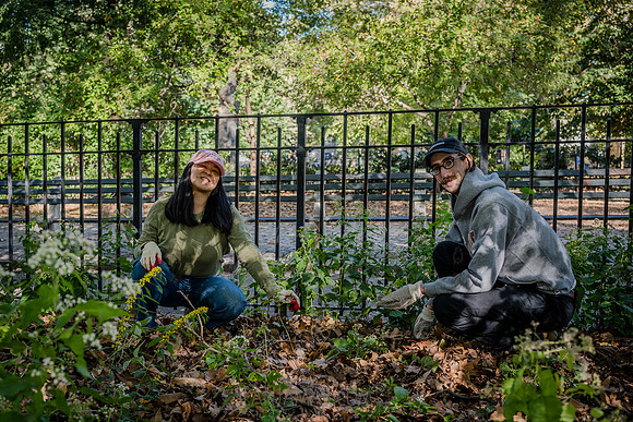 CPF Partnership For Parks - North Brooklyn Parks Alliance Garden
