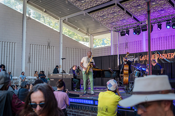 NYC SummerStage - Charlie Parker Jazz Festival - Branford Marsal