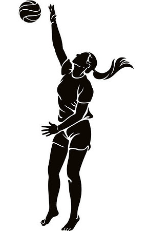 VOLLEYBALL