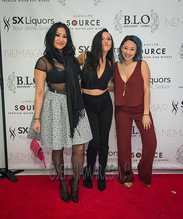 BLO Restaurant Lounge - Grand Opening - NYC - 2015
