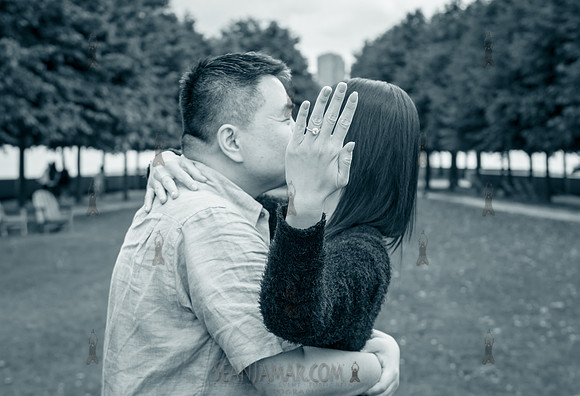 Wedding & Surprise Engagement