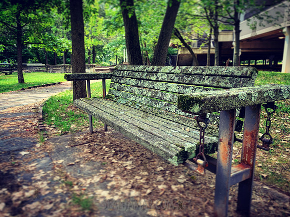 Hackensack River County Park