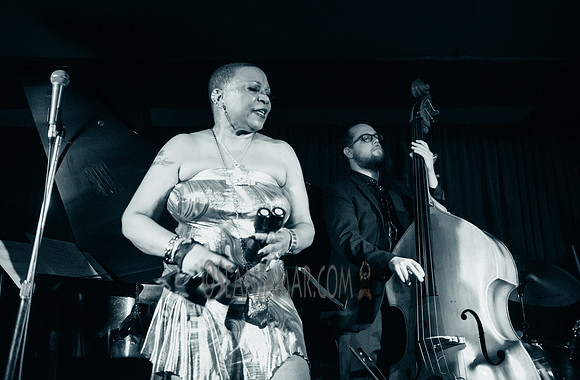 Ms Blu - Zinc Bar - NYC - 2016