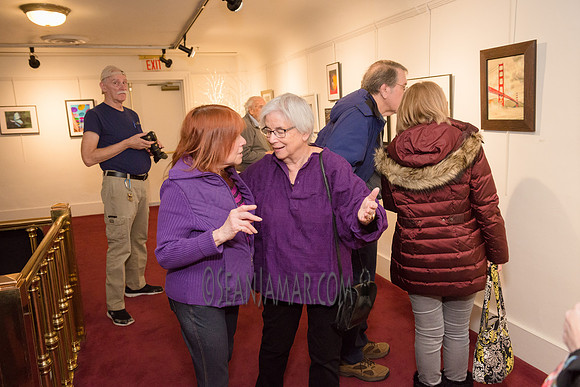 TCC - Through Our Eyes - Sandy Bennett Art Gallery - Bergen PAC - Englewood NJ - 2018