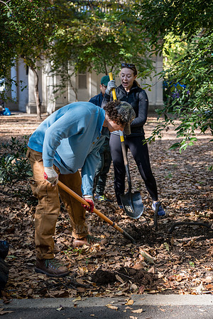 CPF Partnership For Parks - North Brooklyn Parks Alliance Garden