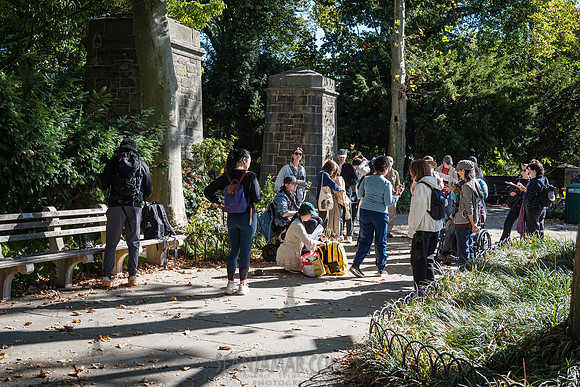 CPF Green Fund - NYC Bird Alliance Accessible Birding - Ft Tryon