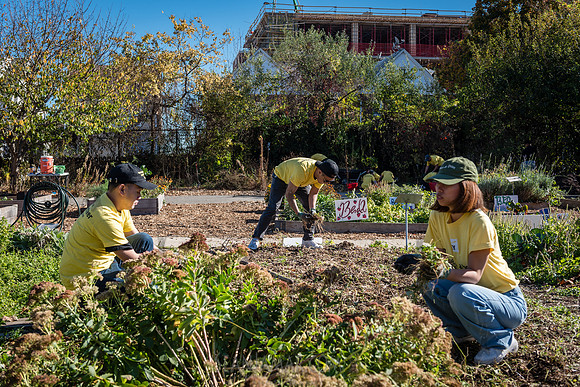 CPF Learn - Learning Gardens Liberty Learning Garden - NYC - 202