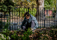 CPF Partnership For Parks - North Brooklyn Parks Alliance Garden
