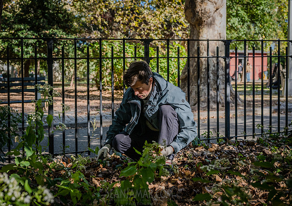 CPF Partnership For Parks - North Brooklyn Parks Alliance Garden