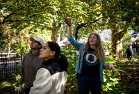 CPF Partnership For Parks - North Brooklyn Parks Alliance Garden