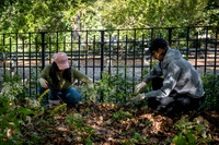 CPF Partnership For Parks - North Brooklyn Parks Alliance Garden