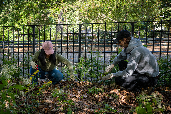 CPF Partnership For Parks - North Brooklyn Parks Alliance Garden