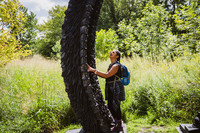 Storm King Art Center - 2026