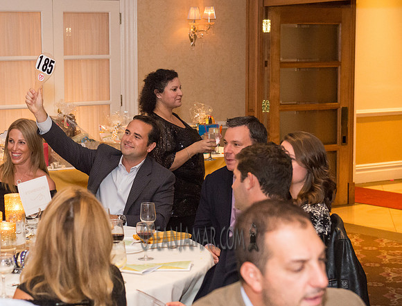 Heart of Gold Gala - The Fiesta - Woodridge NJ - 2016