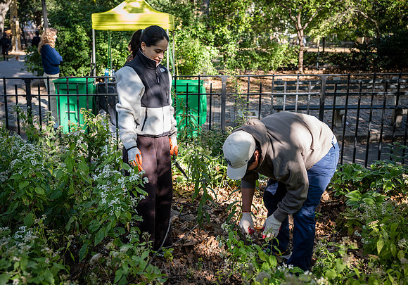 CPF Partnership For Parks - North Brooklyn Parks Alliance Garden