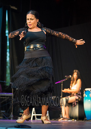 Nelida Tirado - Made in the Bronx presented by BAAD - St Marys Park - BX NYC - 2017