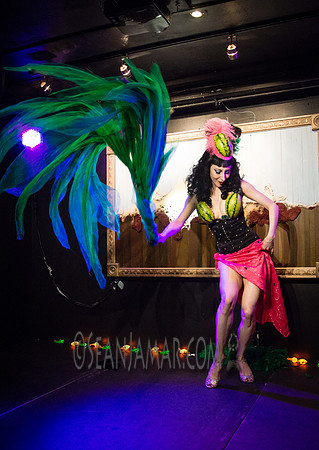 Cassandra Rosebeetle - A Tropical Tease - Le Poisson Rouge - NYC - 2017
