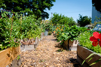 CPF Learning Gardens - Abib Newborn - NYC -2025