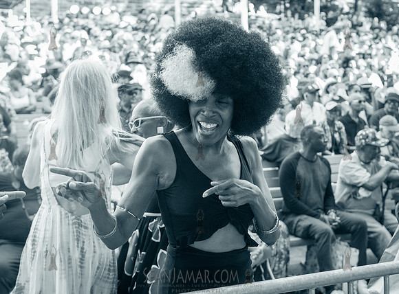 NYC SummerStage - Charlie Parker Jazz Festival - Branford Marsal