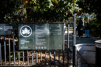 CPF Partnership For Parks - North Brooklyn Parks Alliance Garden