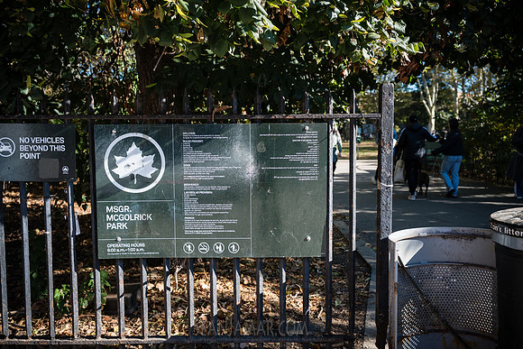 CPF Partnership For Parks - North Brooklyn Parks Alliance Garden