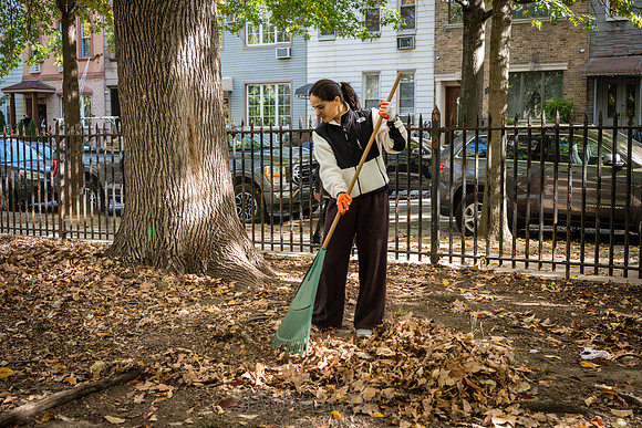 CPF Partnership For Parks - North Brooklyn Parks Alliance Garden