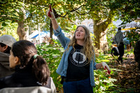 CPF Partnership For Parks - North Brooklyn Parks Alliance Garden