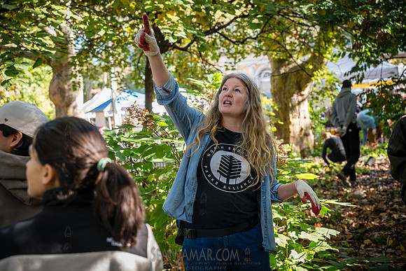 CPF Partnership For Parks - North Brooklyn Parks Alliance Garden