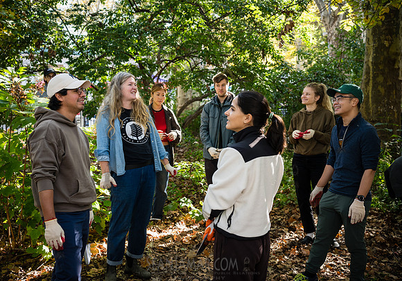 CPF Partnership For Parks - North Brooklyn Parks Alliance Garden