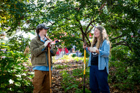 CPF Partnership For Parks - North Brooklyn Parks Alliance Garden