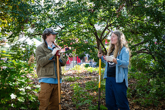 CPF Partnership For Parks - North Brooklyn Parks Alliance Garden