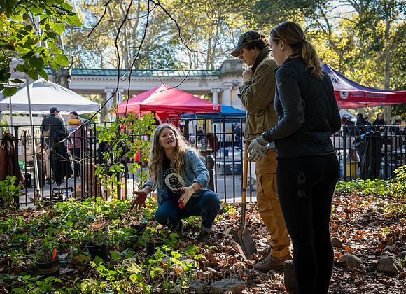CPF Partnership For Parks - North Brooklyn Parks Alliance Garden
