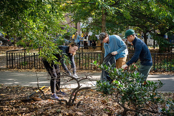 CPF Partnership For Parks - North Brooklyn Parks Alliance Garden