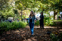 CPF Partnership For Parks - North Brooklyn Parks Alliance Garden
