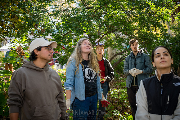 CPF Partnership For Parks - North Brooklyn Parks Alliance Garden