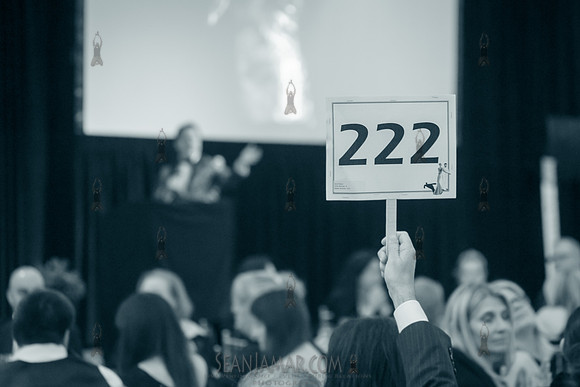 Fundraisers - Gala, Luncheon, _______-a-thons