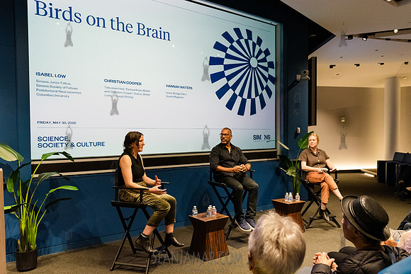 Simons Foundation Presents - Birds on the Brain - Simons Foundat