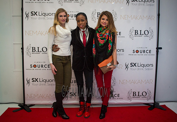 Lynn Hutchins & friends - BLO Restaurant Lounge - Grand Opening - NYC - 2015