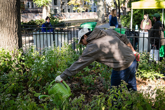 CPF Partnership For Parks - North Brooklyn Parks Alliance Garden
