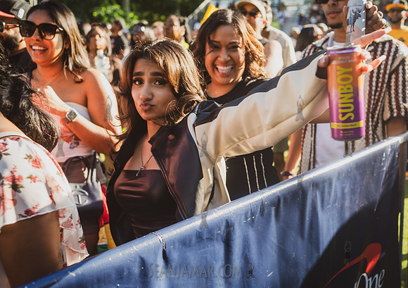 Faces in the Crowd - Branding